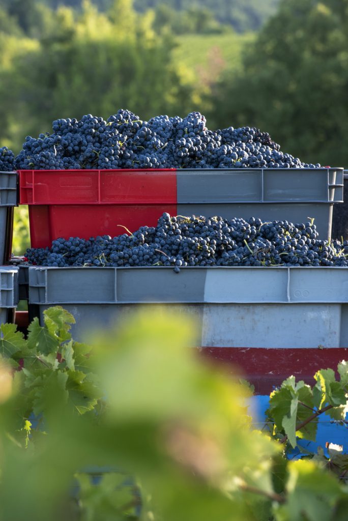 La Blaque_096 0919b__1