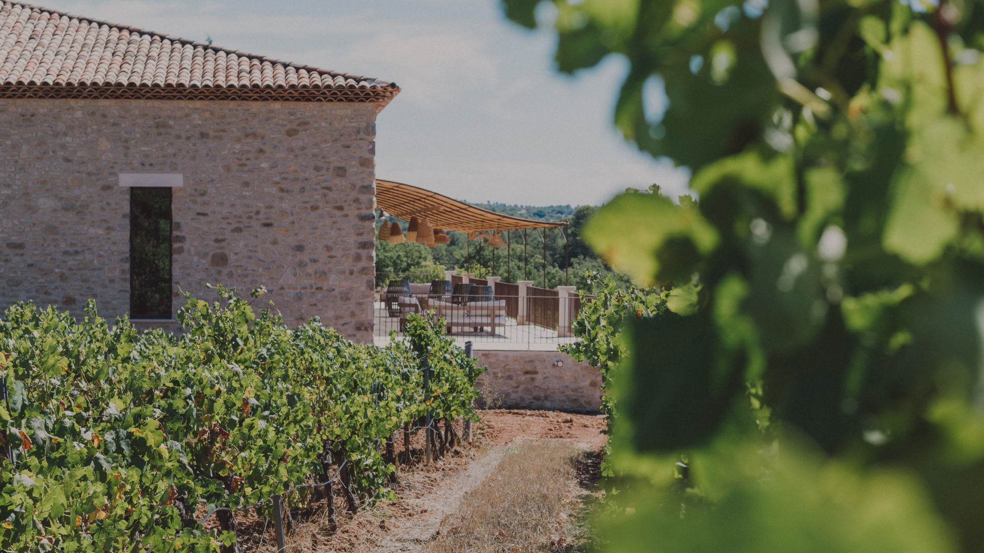 Notre terrasse depuis les vignes